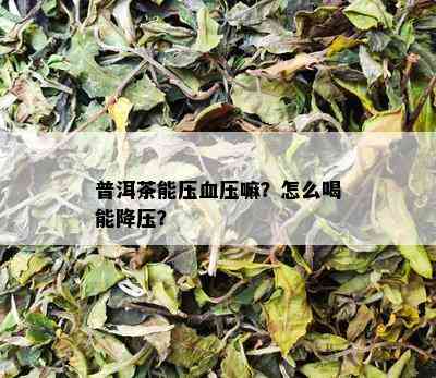 普洱茶能压血压嘛？怎么喝能降压？