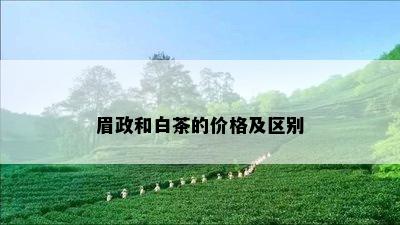 眉政和白茶的价格及区别