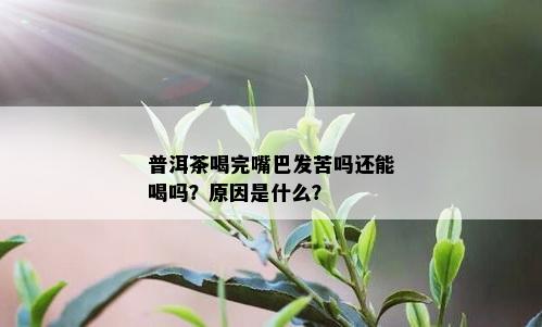 普洱茶喝完嘴巴发苦吗还能喝吗？原因是什么？