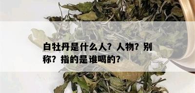 白牡丹是什么人？人物？别称？指的是谁喝的？