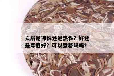 贡眉是凉性还是热性？好还是寿眉好？可以煮着喝吗？