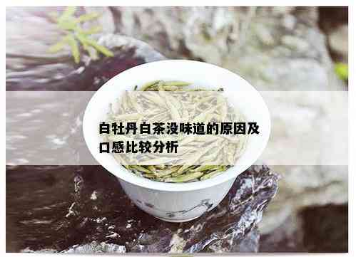 白牡丹白茶没味道的原因及口感比较分析