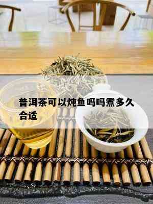 普洱茶可以炖鱼吗吗煮多久合适