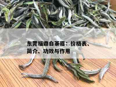 东莞福鼎白茶眉：价格表、简介、功效与作用