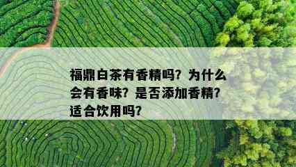 福鼎白茶有香精吗？为什么会有香味？是否添加香精？适合饮用吗？