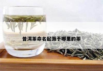 普洱茶命名起源于哪里的茶