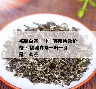 福鼎白茶一叶一芽图片及价格 - 福鼎白茶一叶一芽是什么茶