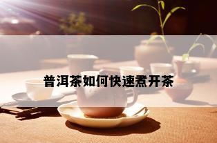 普洱茶如何快速煮开茶