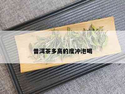 普洱茶多高的度冲泡喝