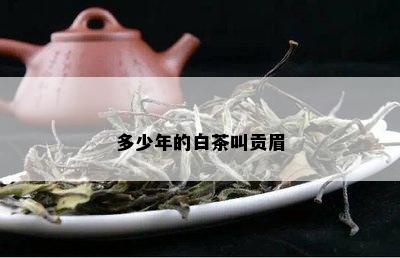 多少年的白茶叫贡眉