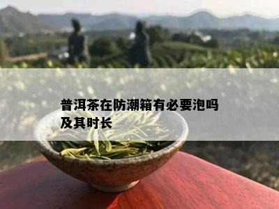 普洱茶在防潮箱有必要泡吗及其时长