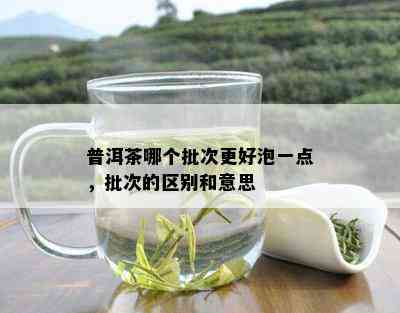 普洱茶哪个批次更好泡一点，批次的区别和意思