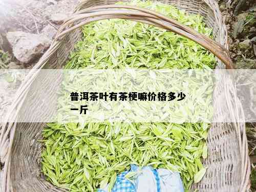 普洱茶叶有茶梗嘛价格多少一斤