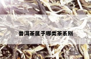 普洱茶属于哪类茶系别