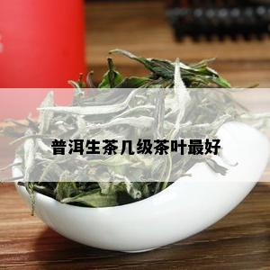 普洱生茶几级茶叶更好