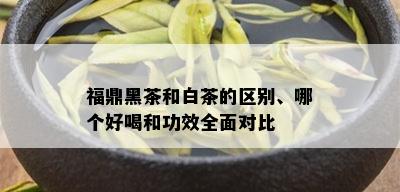 福鼎黑茶和白茶的区别、哪个好喝和功效全面对比