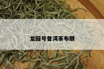 龙园号普洱茶布朗