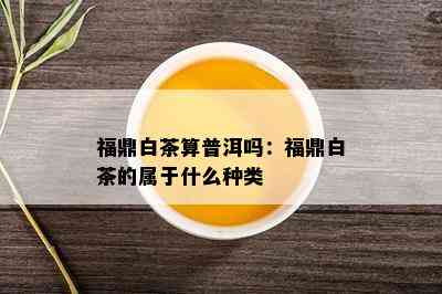 福鼎白茶算普洱吗：福鼎白茶的属于什么种类