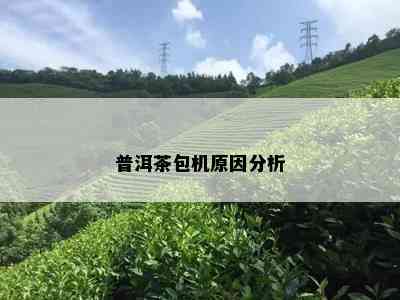 普洱茶包机原因分析