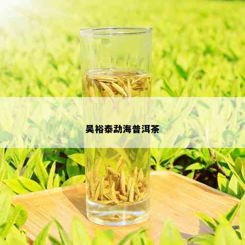 吴裕泰勐海普洱茶