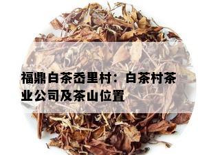 福鼎白茶岙里村：白茶村茶业公司及茶山位置