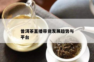 普洱茶直播带货发展趋势与平台