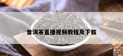 普洱茶直播视频教程及下载