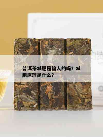 普洱茶减肥是骗人的吗？减肥原理是什么？