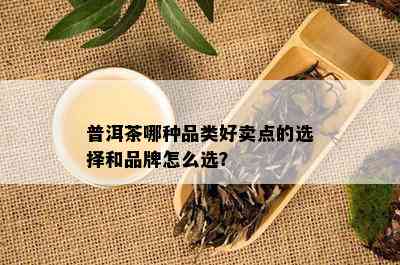 普洱茶哪种品类好卖点的选择和品牌怎么选？