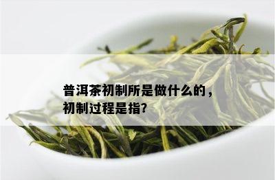 普洱茶初制所是做什么的，初制过程是指？