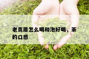 老贡眉怎么喝和泡好喝，茶的口感