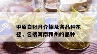 中原白牡丹介绍及各品种花径，包括河南和州的品种