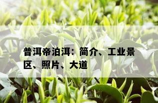 普洱帝泊洱：简介、工业景区、照片、大道