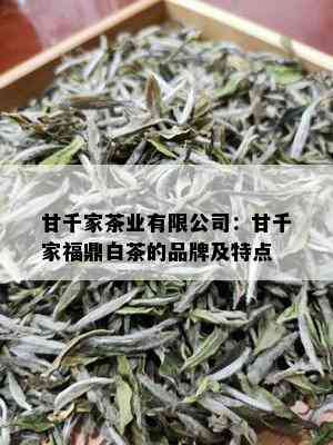 甘千家茶业有限公司：甘千家福鼎白茶的品牌及特点