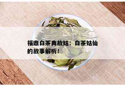 福鼎白茶典故姑：白茶姑仙的故事解析！