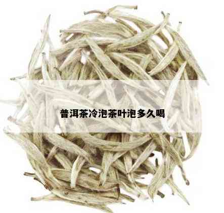 普洱茶冷泡茶叶泡多久喝