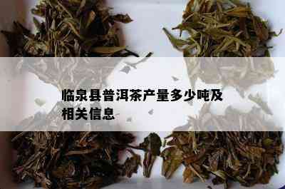 临泉县普洱茶产量多少吨及相关信息