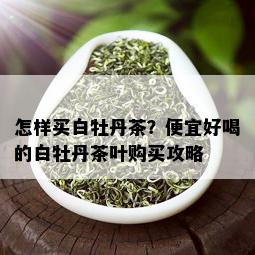 怎样买白牡丹茶？便宜好喝的白牡丹茶叶购买攻略