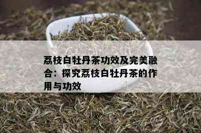 荔枝白牡丹茶功效及完美融合：探究荔枝白牡丹茶的作用与功效