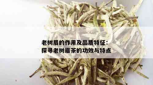 老树眉的作用及品质特征：探寻老树眉茶的功效与特点