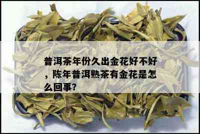 普洱茶年份久出金花好不好，陈年普洱熟茶有金花是怎么回事？