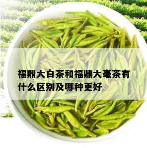 福鼎大白茶和福鼎大毫茶有什么区别及哪种更好