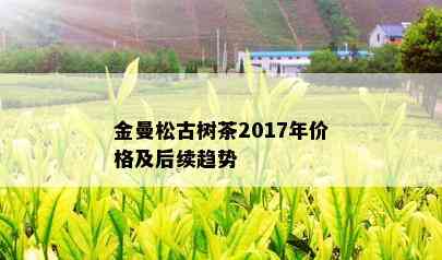 金曼松古树茶2017年价格及后续趋势