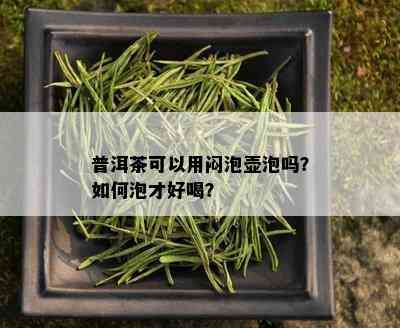 普洱茶可以用闷泡壶泡吗？如何泡才好喝？