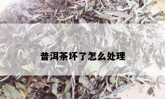 普洱茶坏了怎么处理