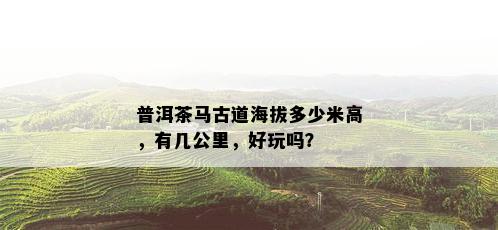 普洱茶马古道海拔多少米高，有几公里，好玩吗？