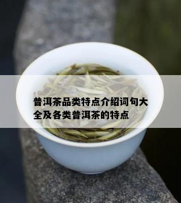 普洱茶品类特点介绍词句大全及各类普洱茶的特点