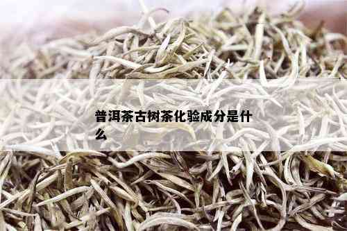 普洱茶古树茶化验成分是什么