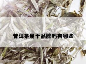 普洱茶属于品牌吗有哪些