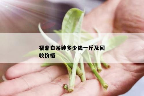 福鼎白茶砖多少钱一斤及回收价格